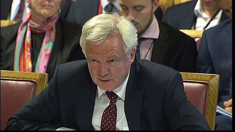 Brexit Secretary David Davis has always claimed there is a contingency plan for a &#39;walk away&#39; option