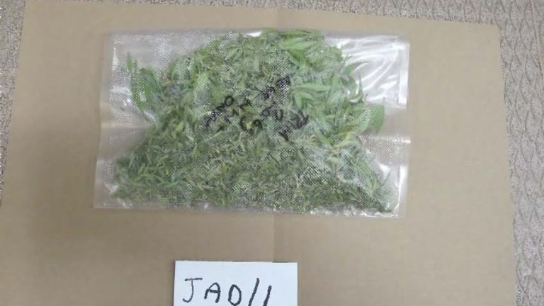 Cannabis recovered by police from Maxwell&#39;s locker at Norton Manor Camp in Somerset