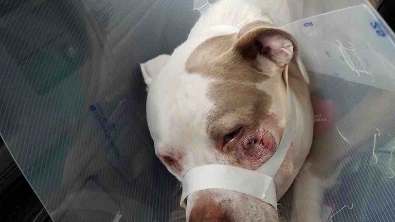 Ciroc suffered a fractured jaw after being shot in the face. Pic: Karli Jones/GoFundMe