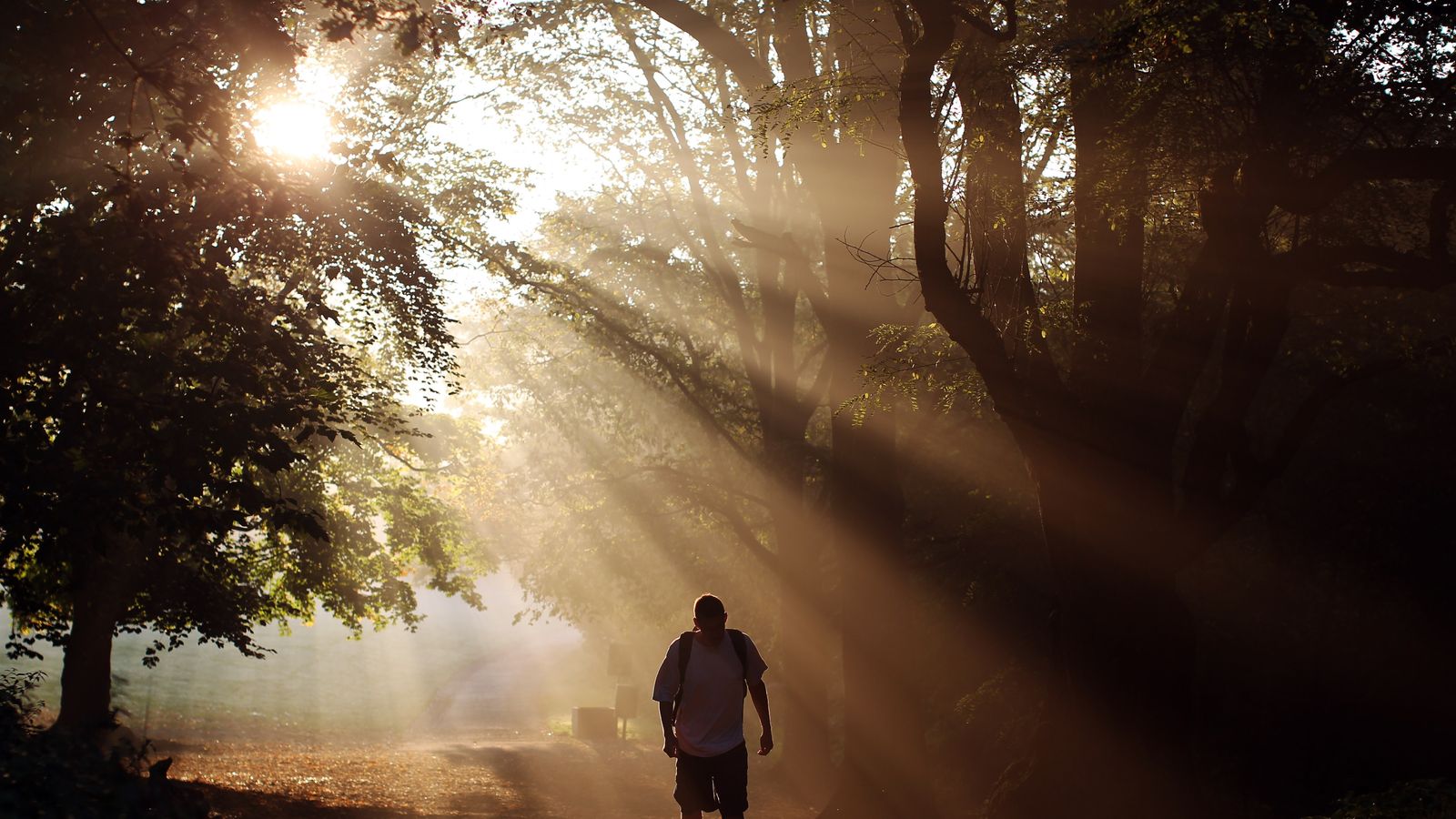 Millions fail to walk briskly for 10 minutes a month | UK News | Sky News