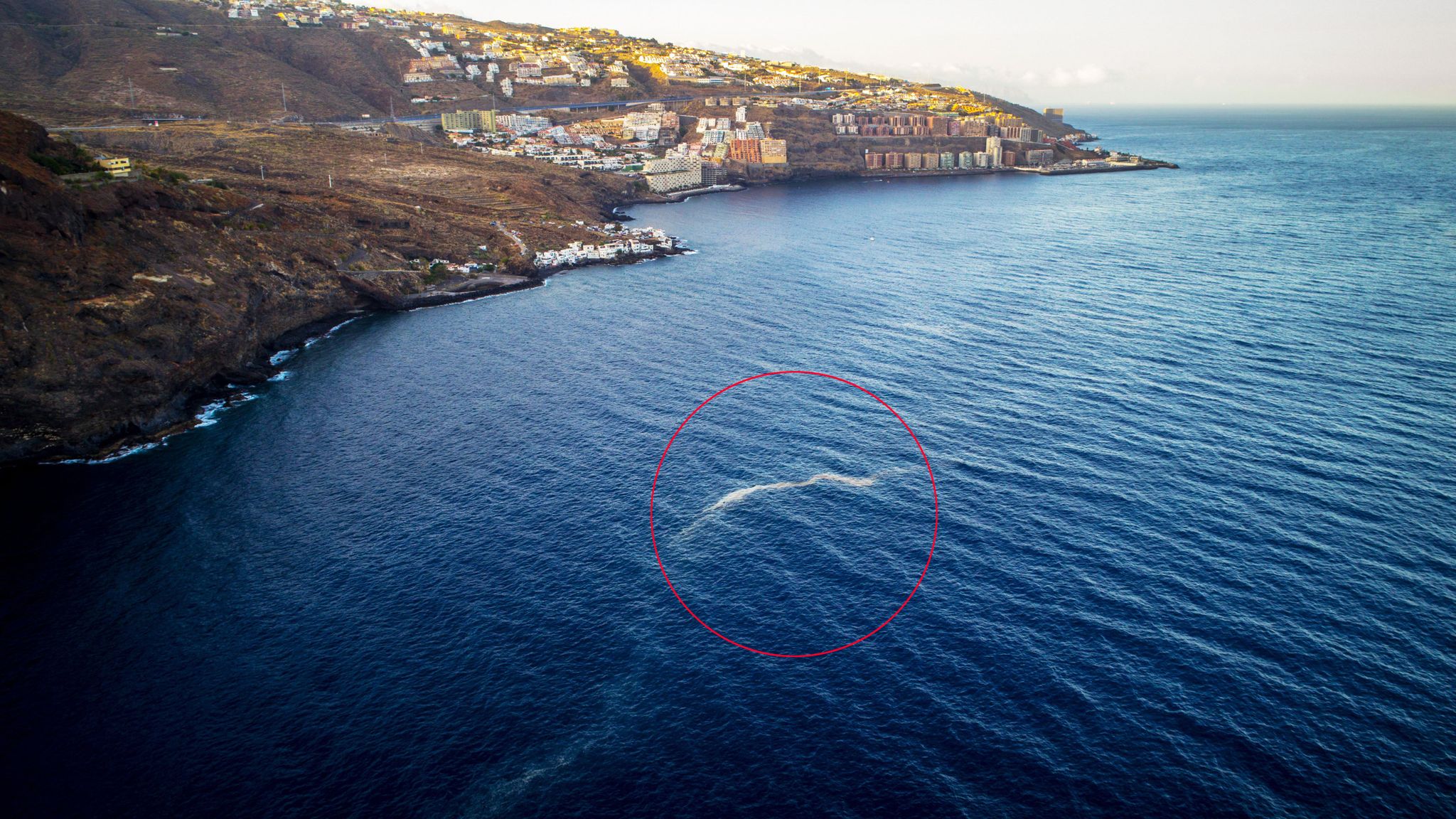 Tourists warned to avoid toxic 'sea sawdust' microalgae off Canary Islands World News Sky News