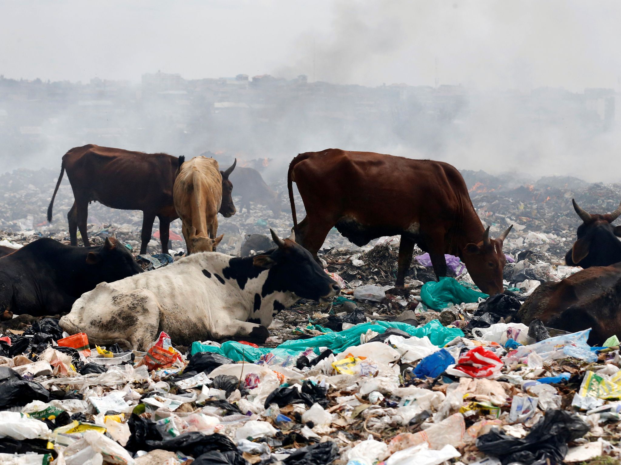 Kenya passes world's toughest plastic bag law in pollution crackdown