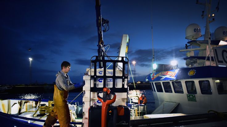 Trawler men unload their catch at Peterhead fish market for sale the following morning, on November 24, 2015 in Peterhead, Scotland