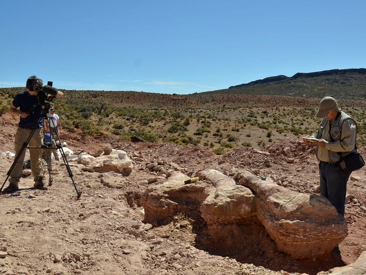 The dig site at Patagonian quarry where the fossilised bones of six young adult dinosaurs were found