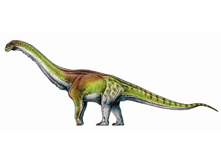 An artist&#39;s impression of the Patagotitan mayorum