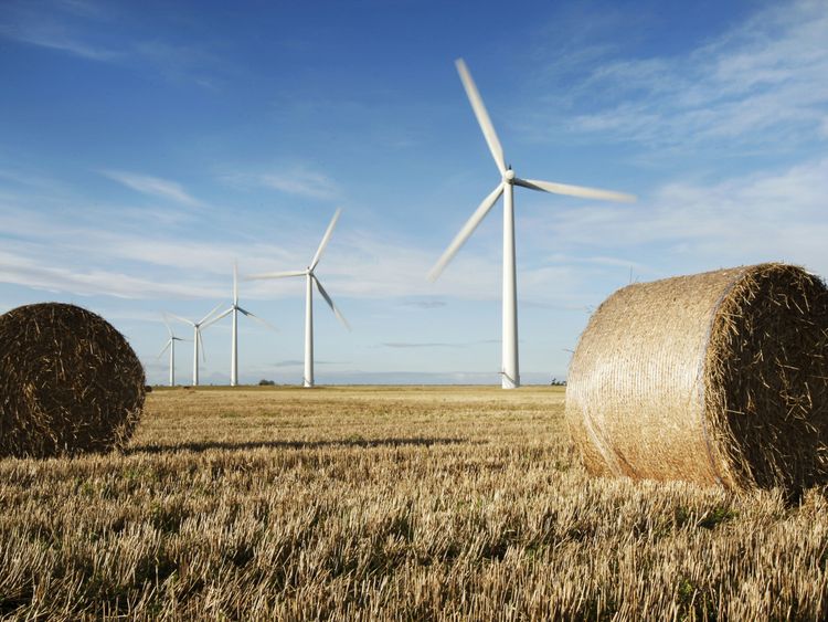 Westmill Wind Farm Co-op, the first onshore wind farm to be built in the south-east of England is pictured in Watchfield near Swindon, on December 5, 2008