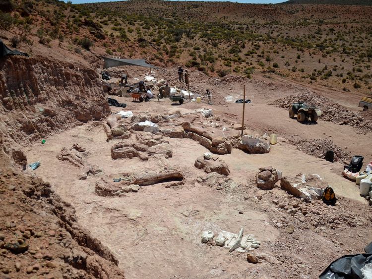 The dig site at Patagonian quarry where the fossilised bones of six young adult dinosaurs were found
