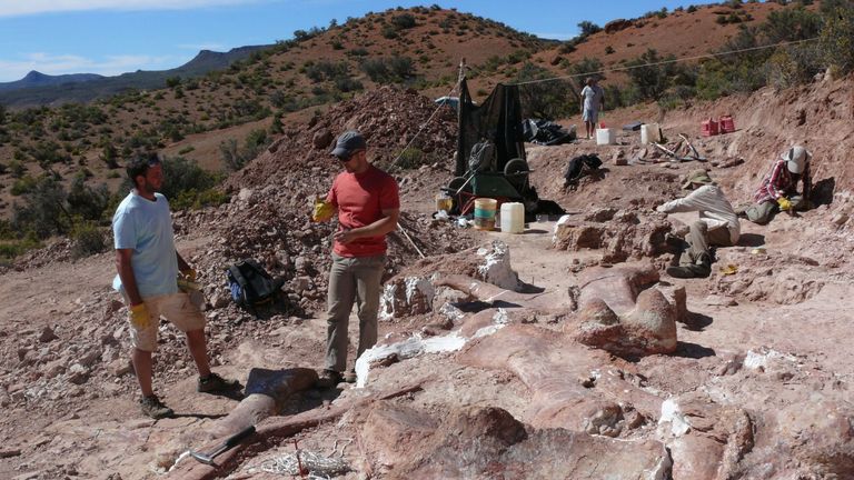 The dig site at Patagonian quarry where the fossilised bones of six young adult dinosaurs were found.