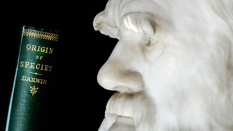 A copy of Darwin's book the 'Origin of Species' is pictured in front of a life size stone bust of Charles Darwin at London's Natural History Musuem, 08 June 2006