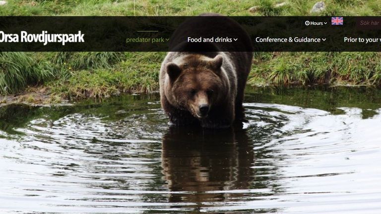 The brown bear had dug its way out of an enclosure at Orsa Rovdjurspark