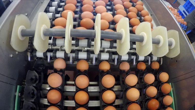 GV of egg production in Europe