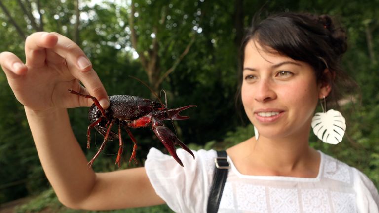 A tourist holds a Louisiana crawfish, or Procambarus clarkii, in Berlin&#39;s Tiergarten park