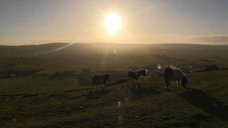 Shetland, which had a population of about 23,000, is famous for its ponies