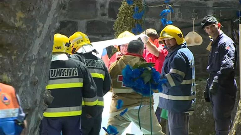 The tree came down near Madeira's capital, Funchal