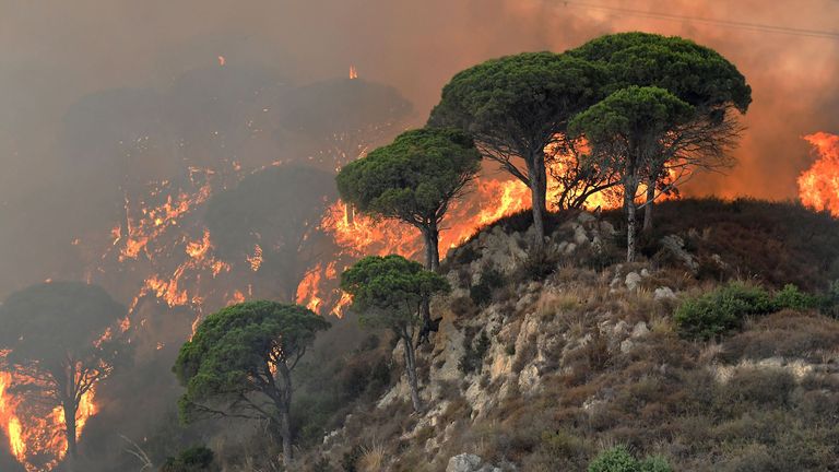 Firefighters across Italy have been dealing with thousands of fires this year