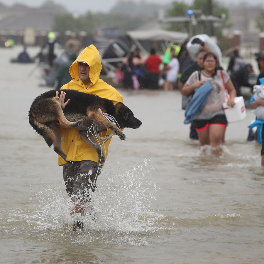 People evacuating their homes after flooding caused by Hurricane Harvey