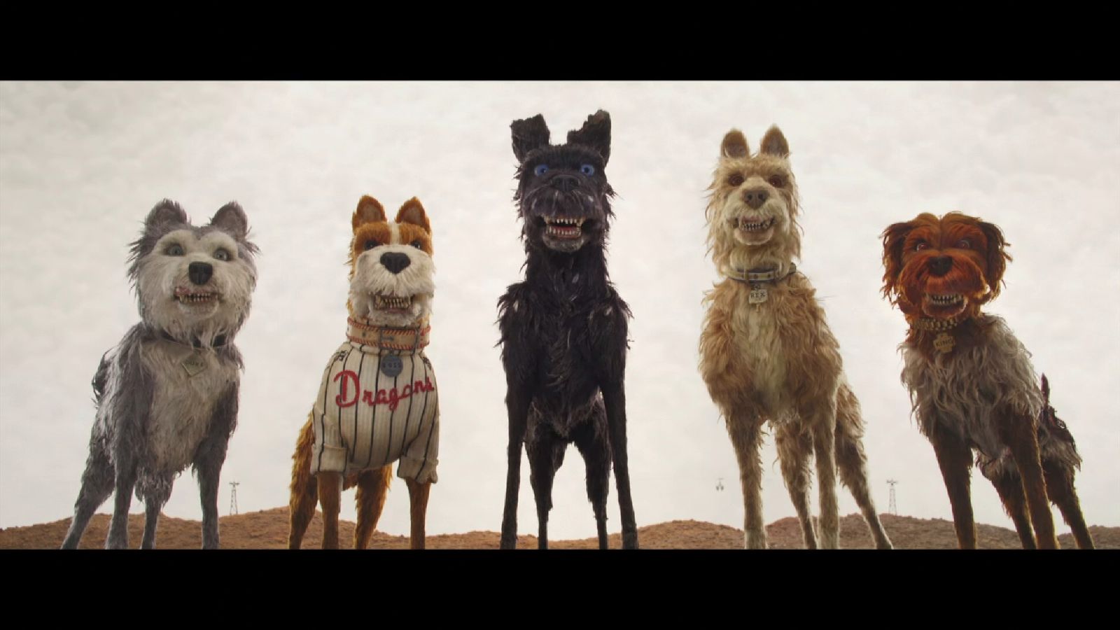 Wes Anderson returns with Isle Of Dogs News UK Video News Sky News
