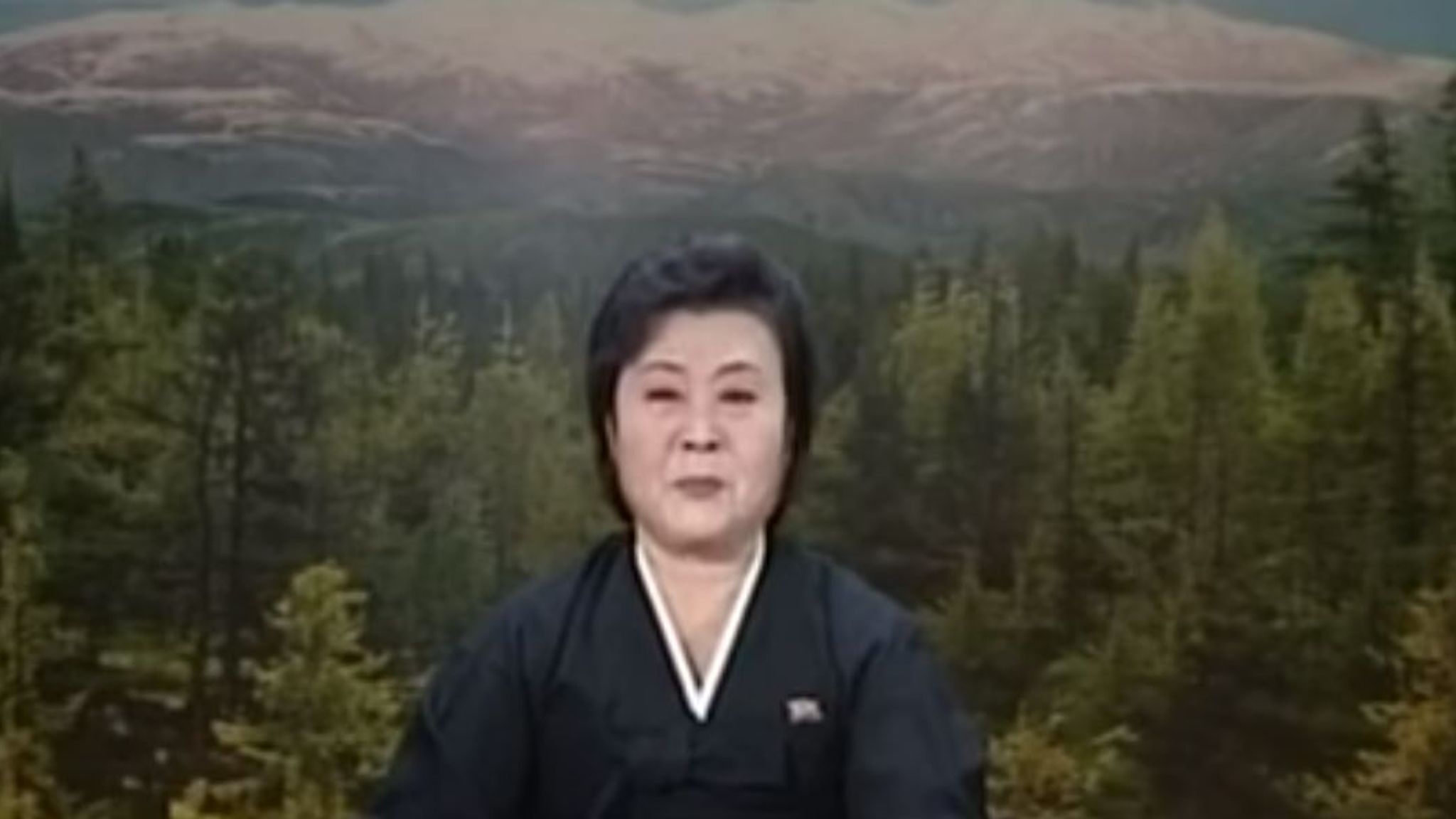 Who Is Ri Chun Hee North Koreas Nuclear Newsreader World News Sky News 