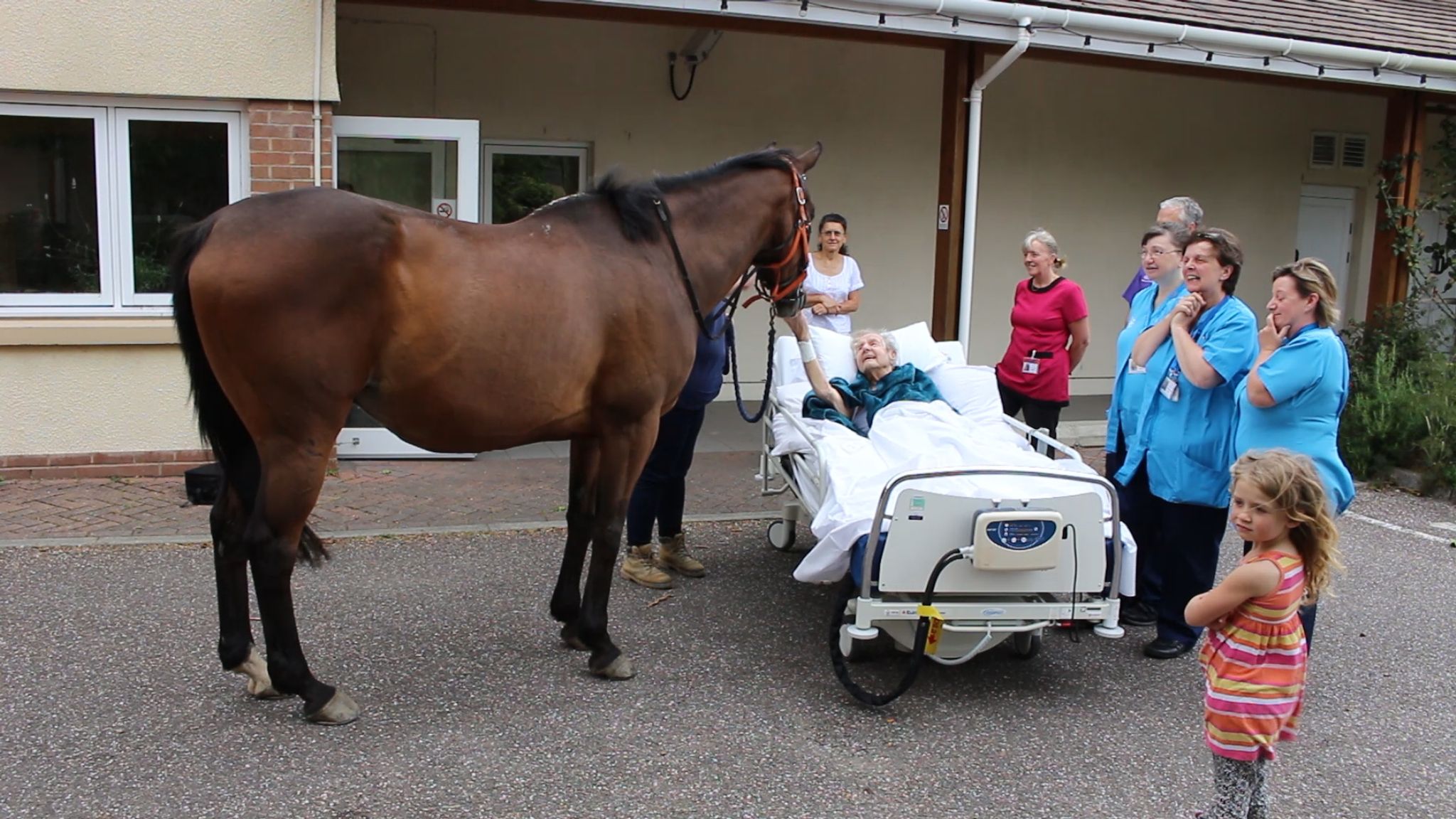 Hospice staff help dying man feed a horse for the final time UK News