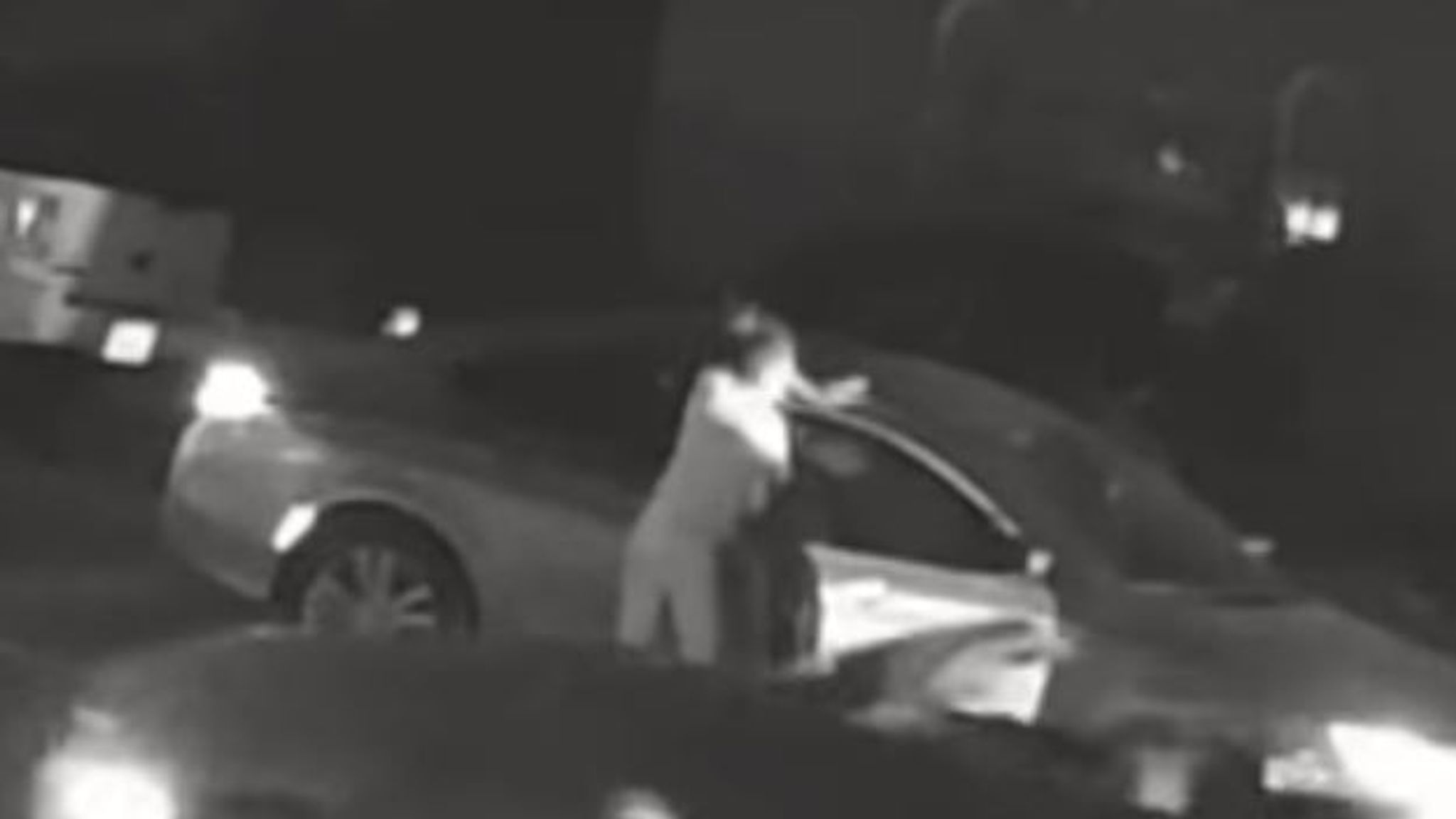 CCTV shows woman being bundled into car in suspected Los Angeles kidnap