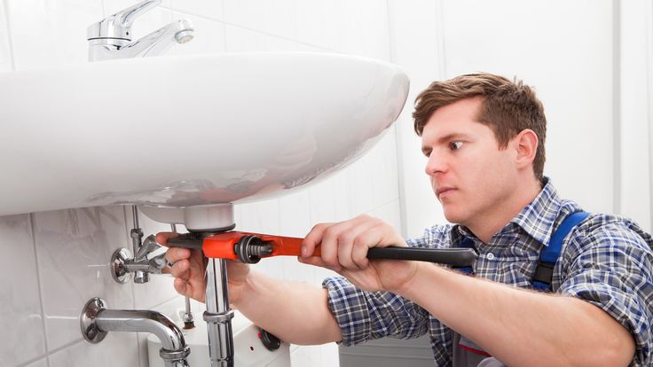 Plumbing may well be more profitable than doing many university degrees