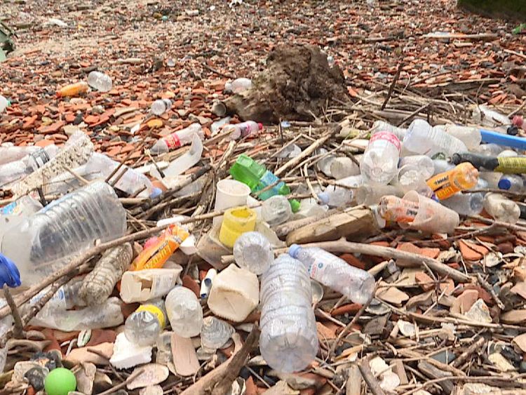 Public volunteers to count plastic bottles washed along shore of Thames