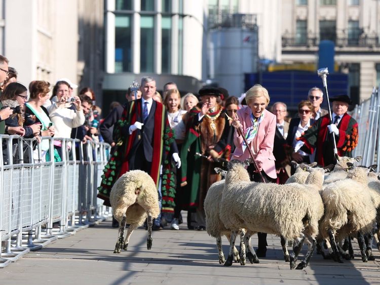 Celebrity baker Mary Berry is followed by new Freemen of the City of London, as she herds sheep over London Bridge to help open the Wool Fair