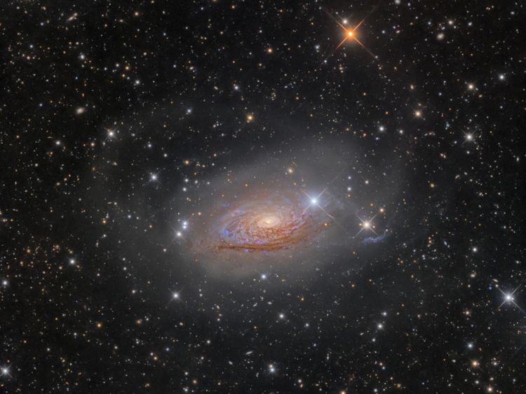M63 Star Streams and the Sunflower Galaxy. Pic: Oleg Bryzgalov