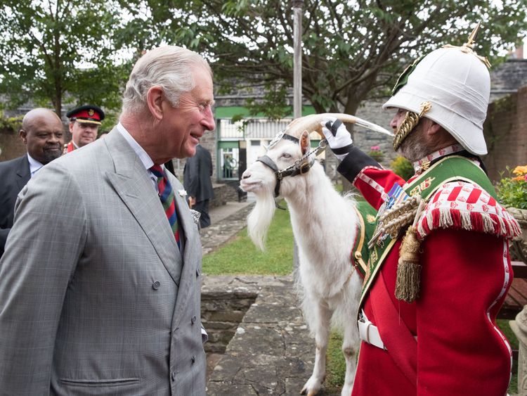 Lance Corporal Shenkin III stays cool as Prince Charles enquires about him