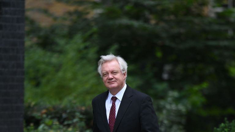 David Davis arrives in Downing Street for Cabinet following the summer break