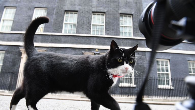 Palmerston in Downing St