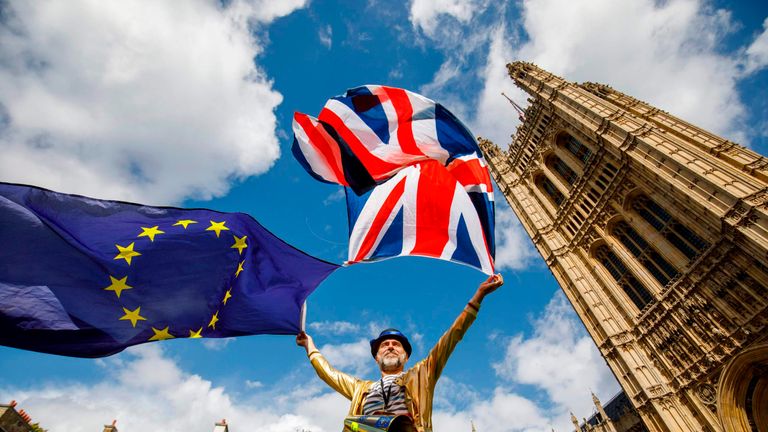 Pro-EU demonstrators made their feelings known ahead of the Commons vote