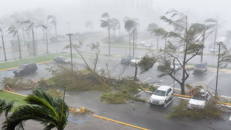 Toppled trees and damaged cars in a parking lot in San Juan, Puerto Rico
