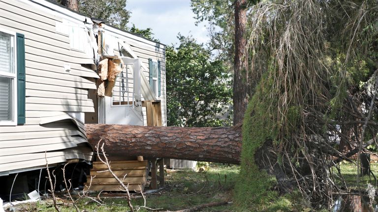 An uprooted tree that slashed a trailer in half in Kissimmee, Florida