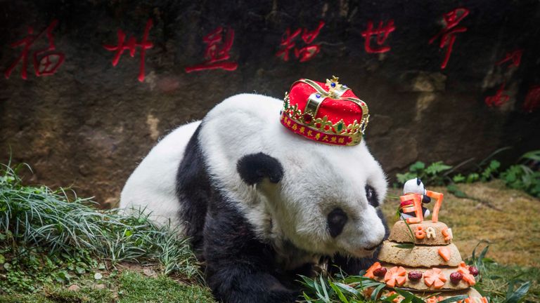 Basi was given a giant cake on her 37th birthday
