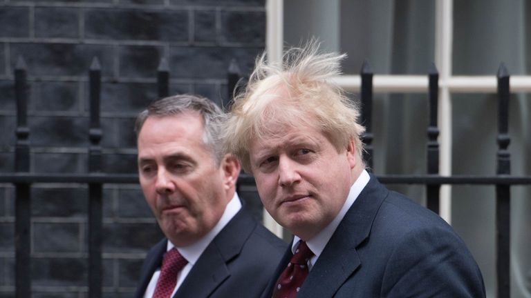 Liam Fox and Boris Johnson