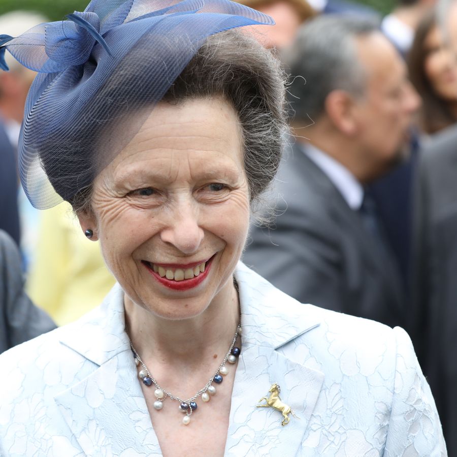 Princess Anne arrives at the Anglo-German club in Hamburg, Germany