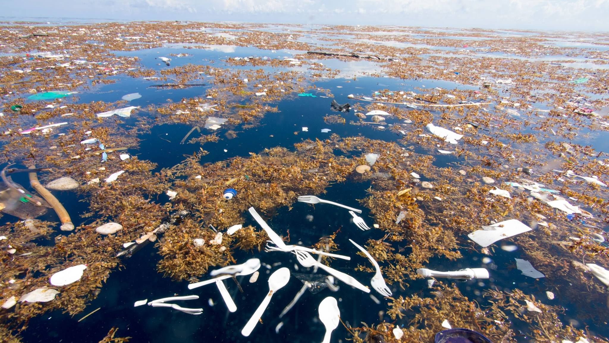 Shocking photos emerge of 'sea of plastic' | Sky News