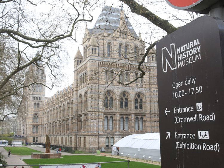 A man has been detained outside the Natural History Museum 