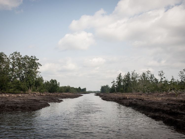 The Delta state is an oil-producing area of Nigeria that has been affected by conflict