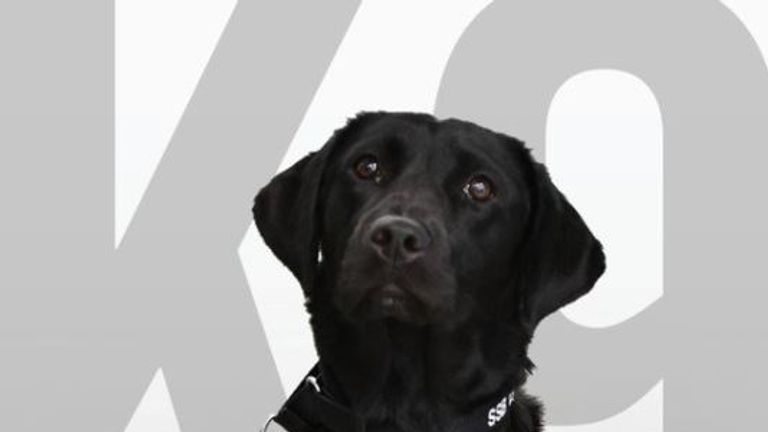 Lulu the sniffer dog who got dropped from the programme for not sniffing bombs - pic: CIA Twitter