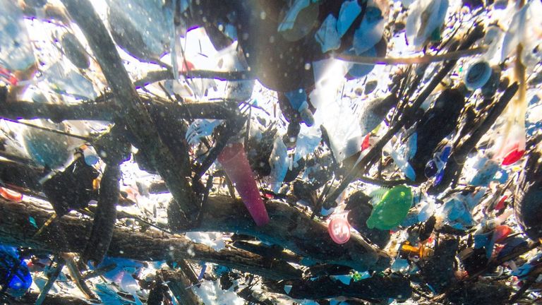 Caroline Power discovered a &#39;sea of plastic&#39; near the island of Roatán. Pic: Caroline Pwer Photography