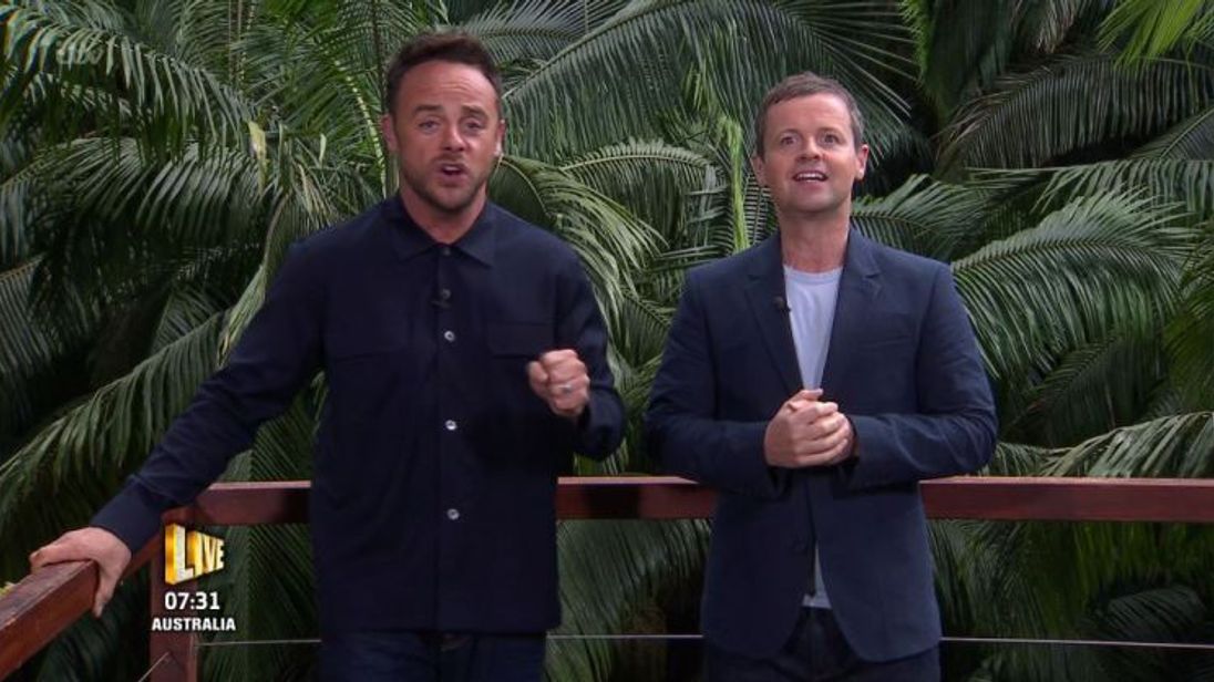 https://e3.365dm.com/17/11/1096x616/skynews-itv-ant-dec-rehab_4161195.jpg