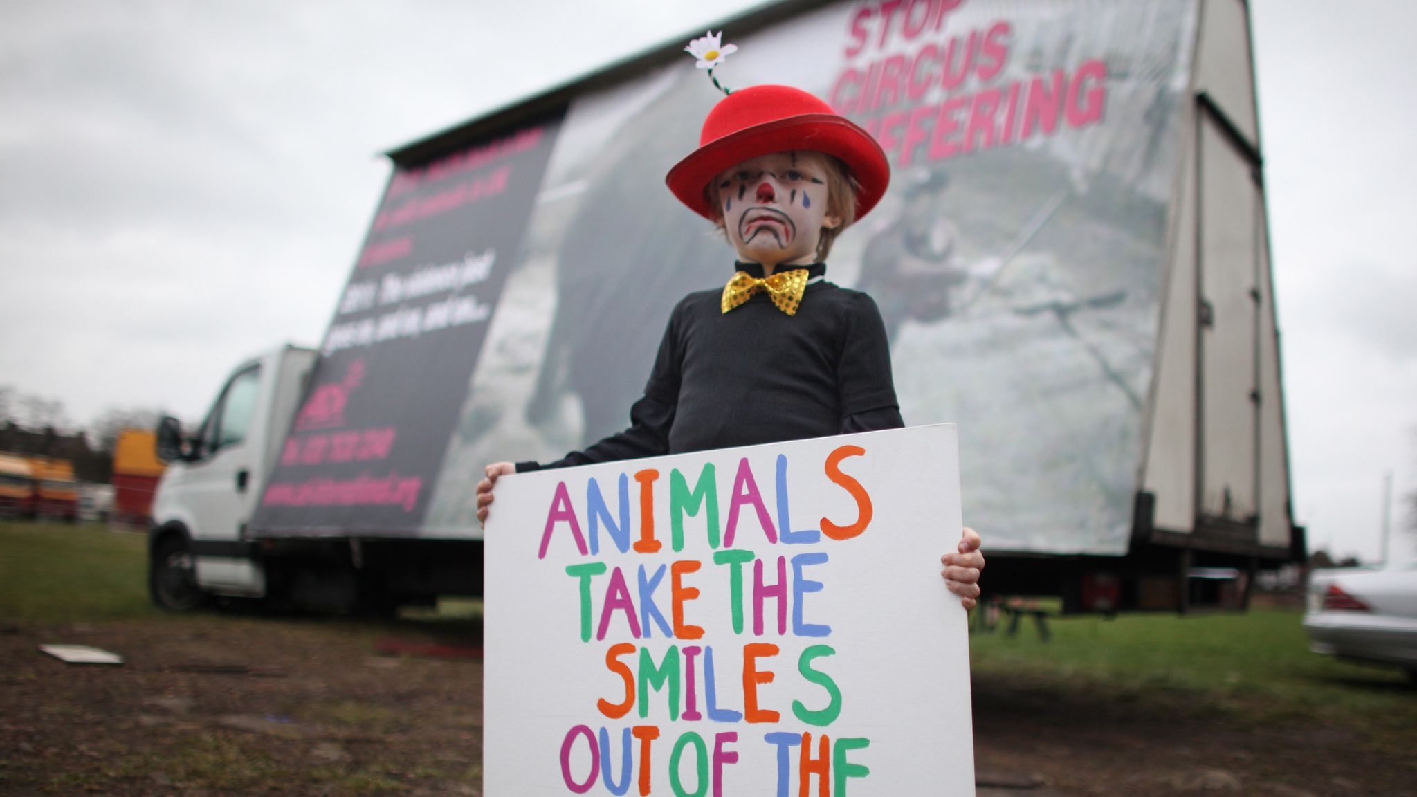 Pressure grows for UK to ban wild animal circuses UK News Sky News