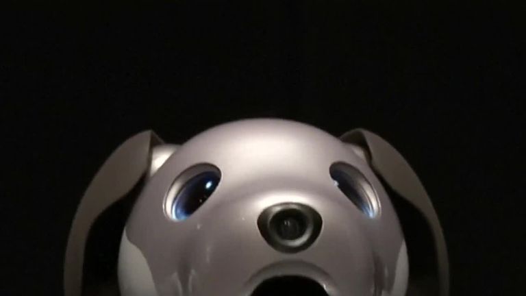 Aibo, the robot puppy powered by canine AI
