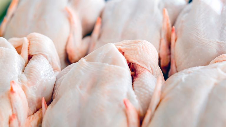 Raw  butchered chicken in queue