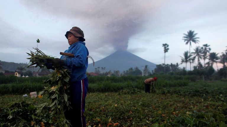 Farmers tend their crops as Mount Agung erupts in the background in Amed