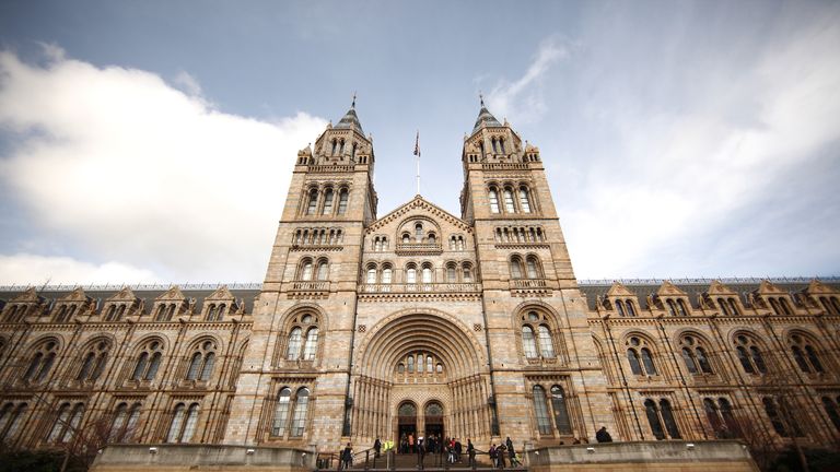 The Natural History Museum in London