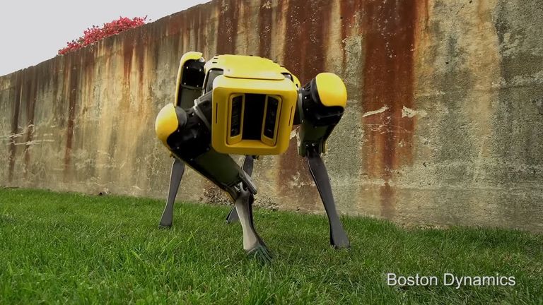 The upgraded Spot Mini robot leers at the camera. Pic: Boston Dynamics