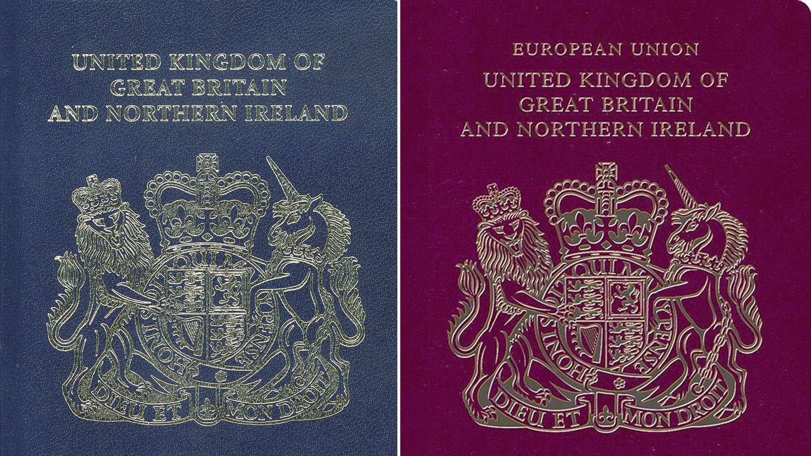Arriba 132+ imagem british passport photo background colour ...